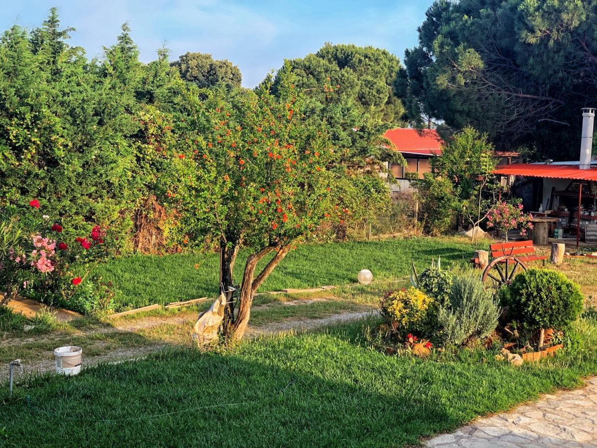 Ivonnis Garden Villa Mesimvria  Eksteriør bilde
