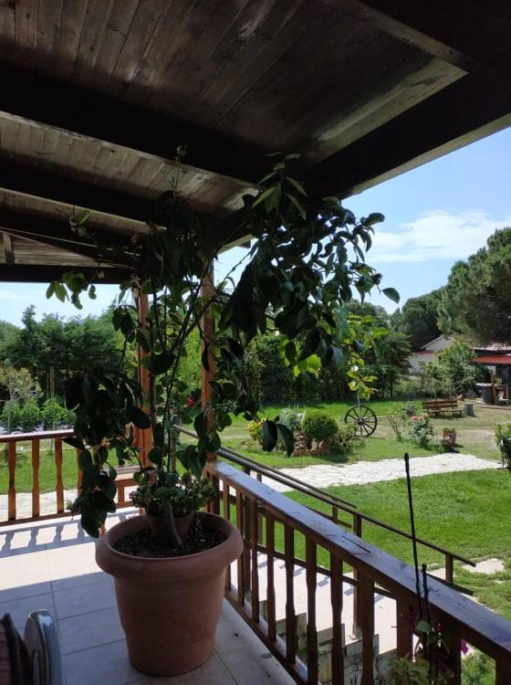 Ivonnis Garden Villa Mesimvria  Eksteriør bilde