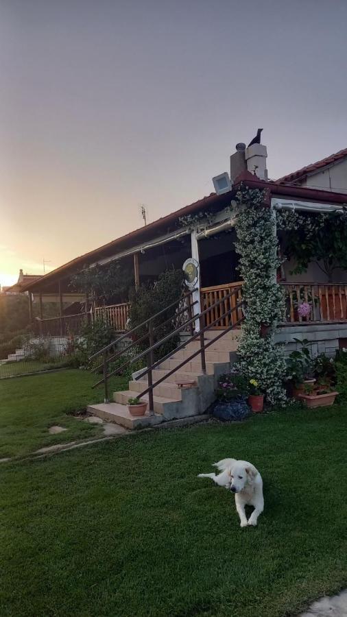 Ivonnis Garden Villa Mesimvria  Eksteriør bilde