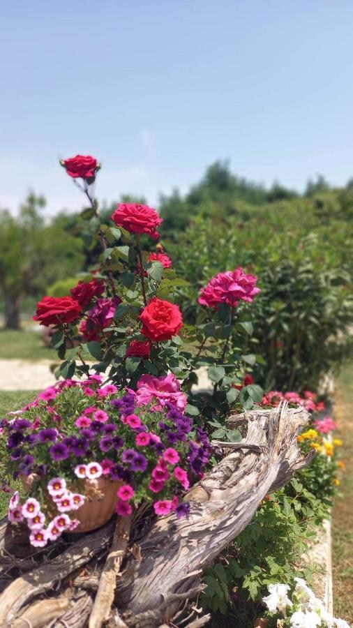 Ivonnis Garden Villa Mesimvria  Eksteriør bilde