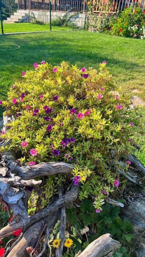 Ivonnis Garden Villa Mesimvria  Eksteriør bilde