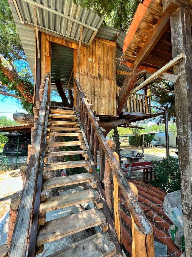 Ivonnis Garden Villa Mesimvria  Eksteriør bilde