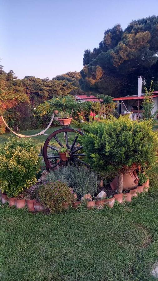 Ivonnis Garden Villa Mesimvria  Eksteriør bilde