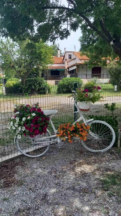 Ivonnis Garden Villa Mesimvria  Eksteriør bilde