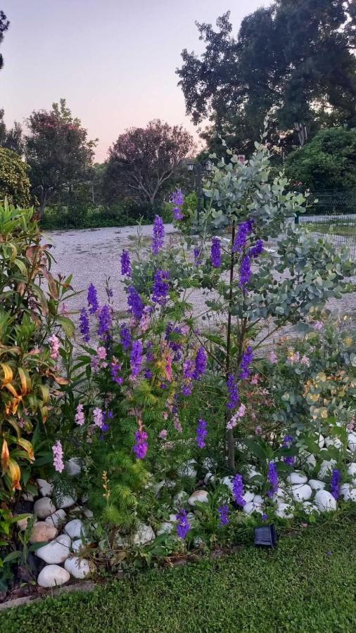 Ivonnis Garden Villa Mesimvria  Eksteriør bilde